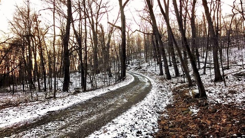 Ramapo State Forest
