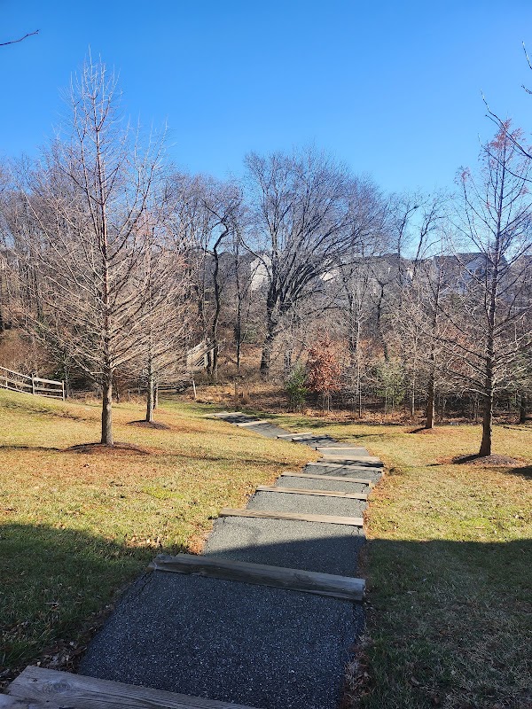 Turtlehead Trail Trailhead Winding Woods Way