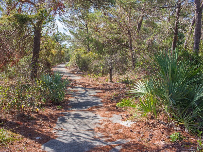 Rosemary Scrub Natural Area