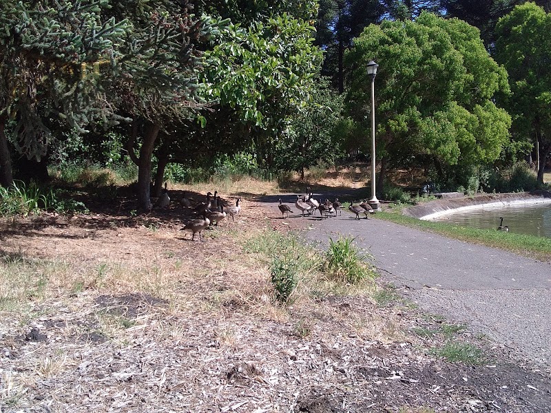 Sonoma State University Native Plant Garden