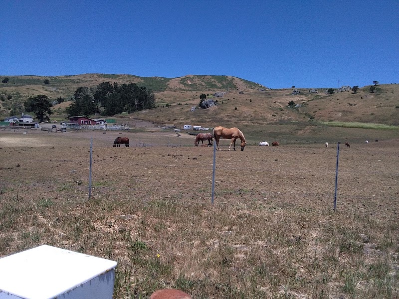 Sonoma State University Native Plant Garden