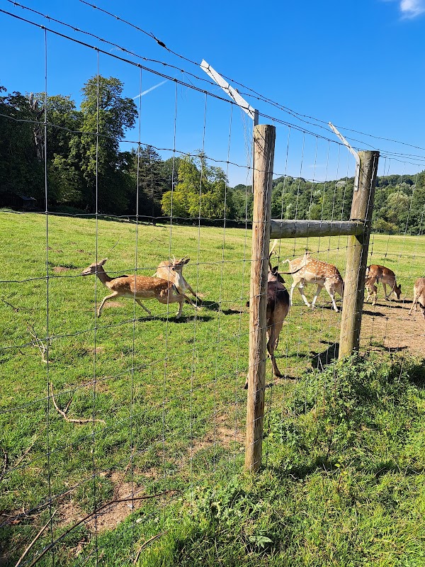 Bedfords Park Deer Enclosure