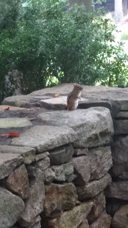 De La Torre Preserve