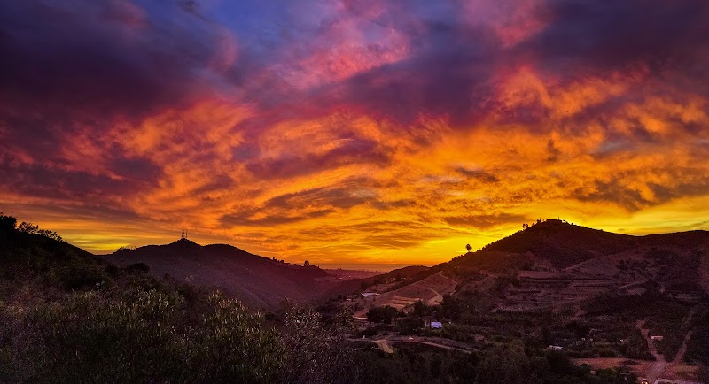 Over The Rainbow Farm