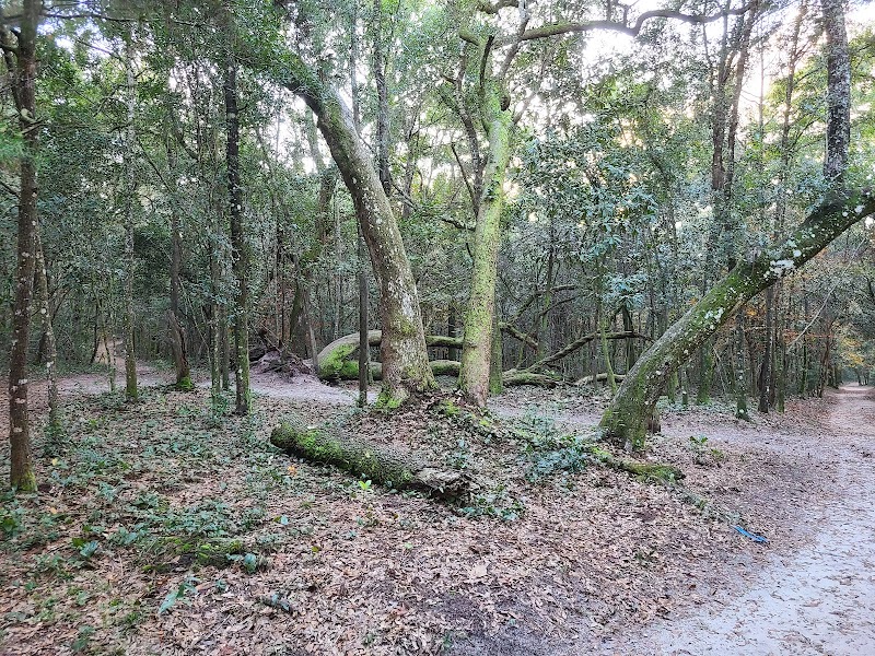 UWF Cross Country Trails
