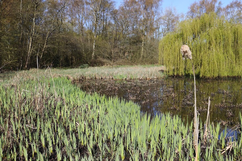 Cranberry Moss Nature Reserve