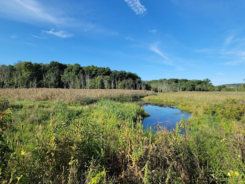 Sussex Branch Trail - Trinity St. Area