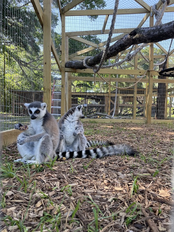 Moore Exotic Animal Ranch