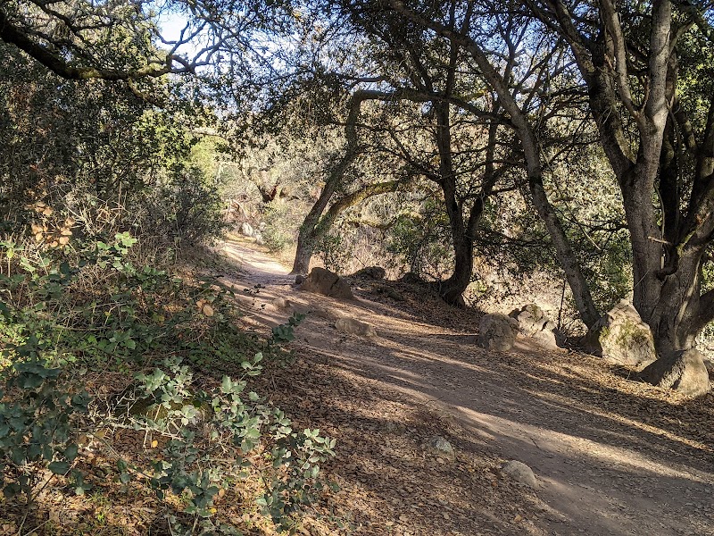 Taylor mountain regional park