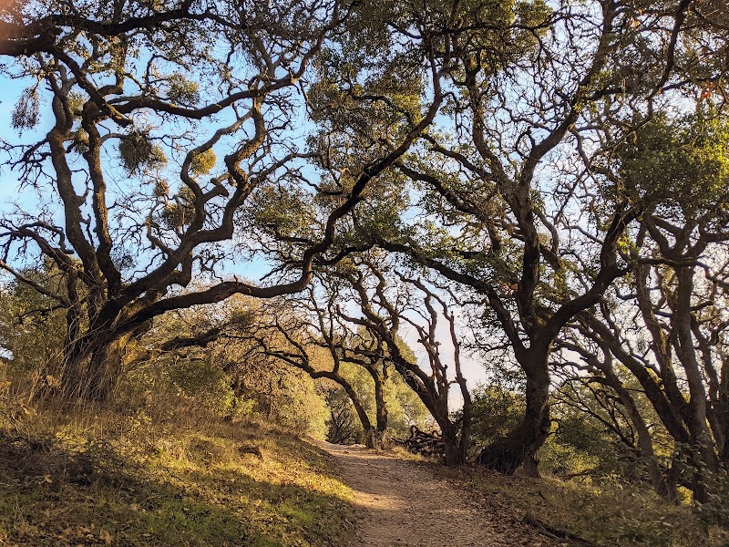 Taylor mountain regional park