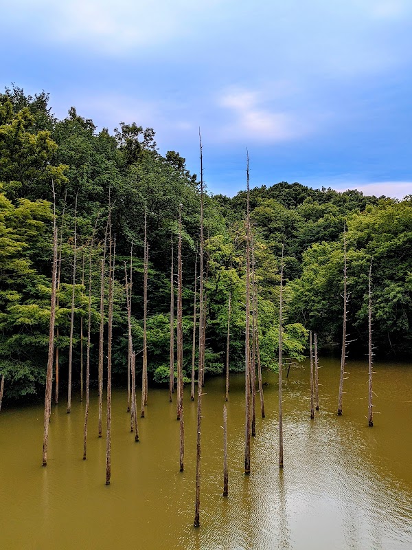 Oyamadairi Park