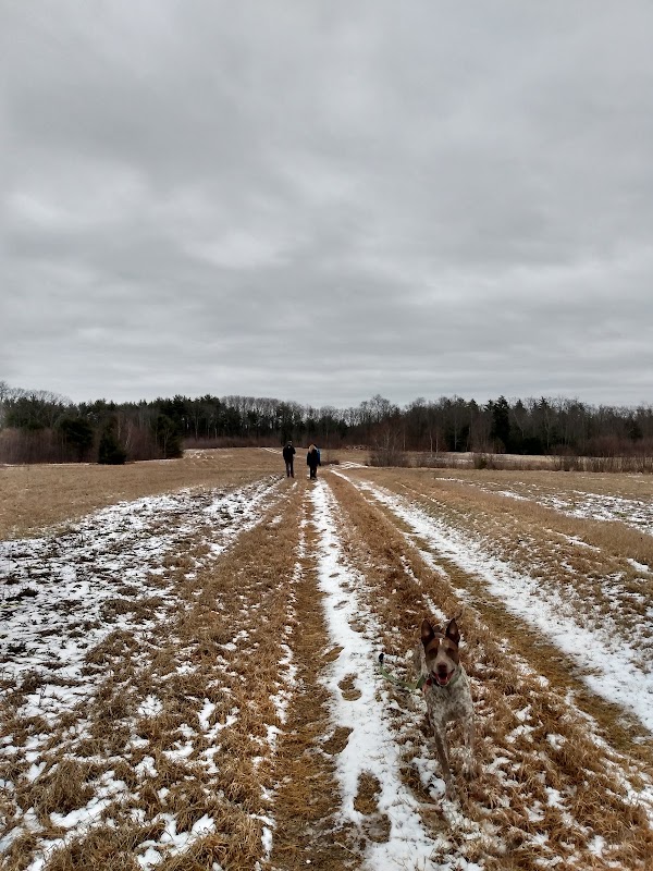 Little River Natural Area