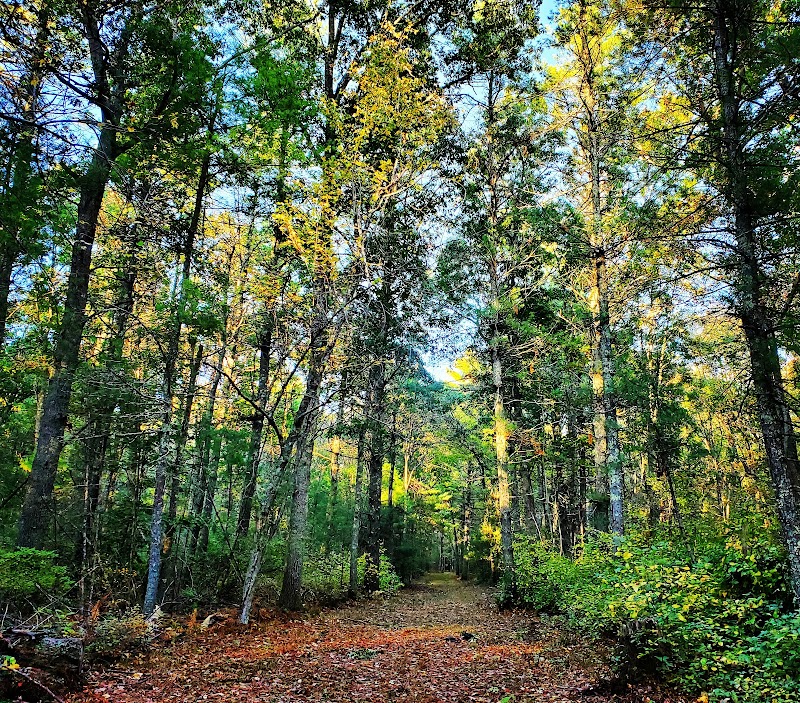 Blueberry Knoll Wildlife Area