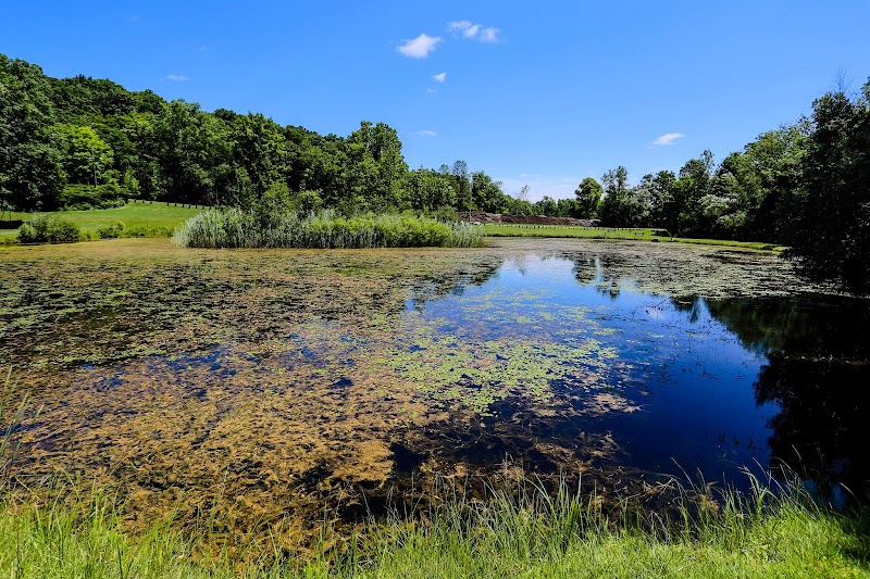 Stonybrook Road Park