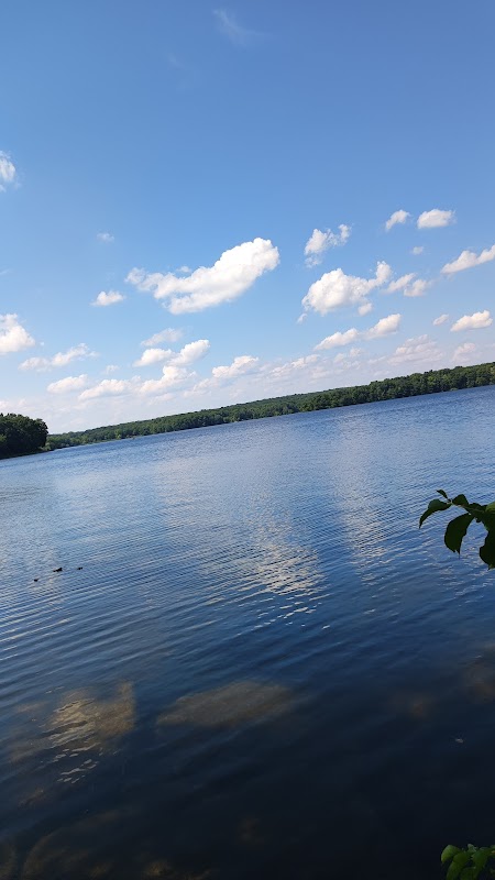 Scenic Elevated Boardwalk