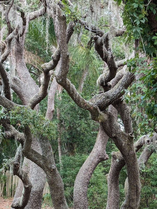 Jean Street Park
