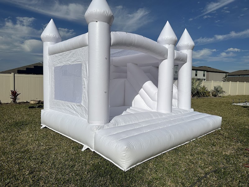 Modern Brown Bouncies