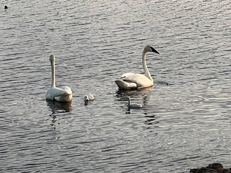 Grass Lake Park