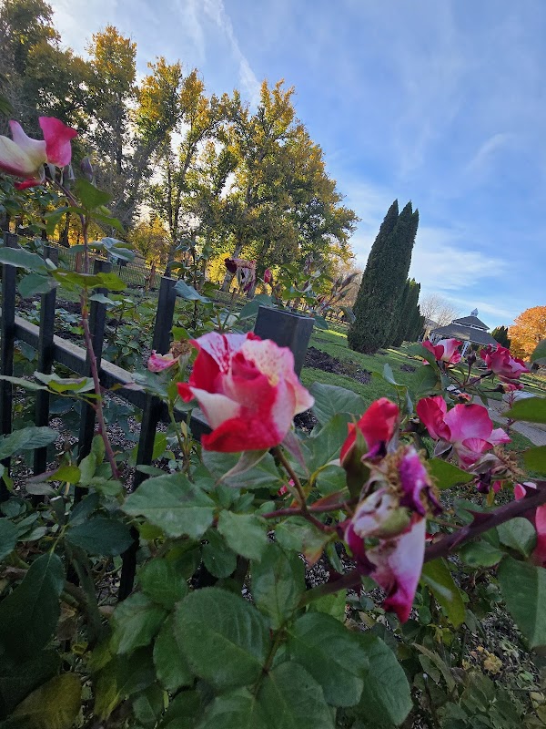 Boise Pavilion at Julia Davis Park
