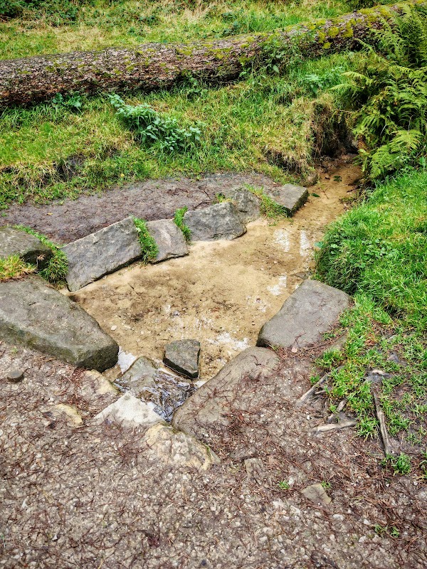 The Sarah Wilson lagoon