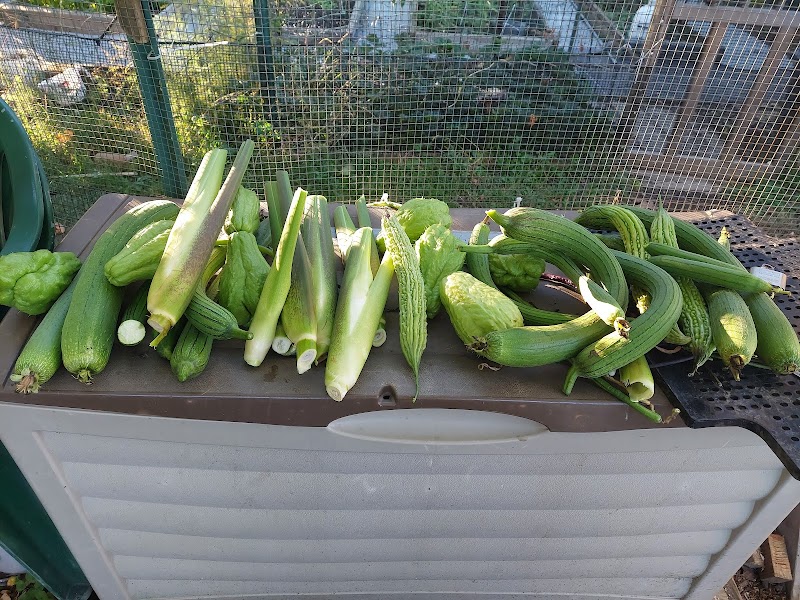 Denville Community Gardens