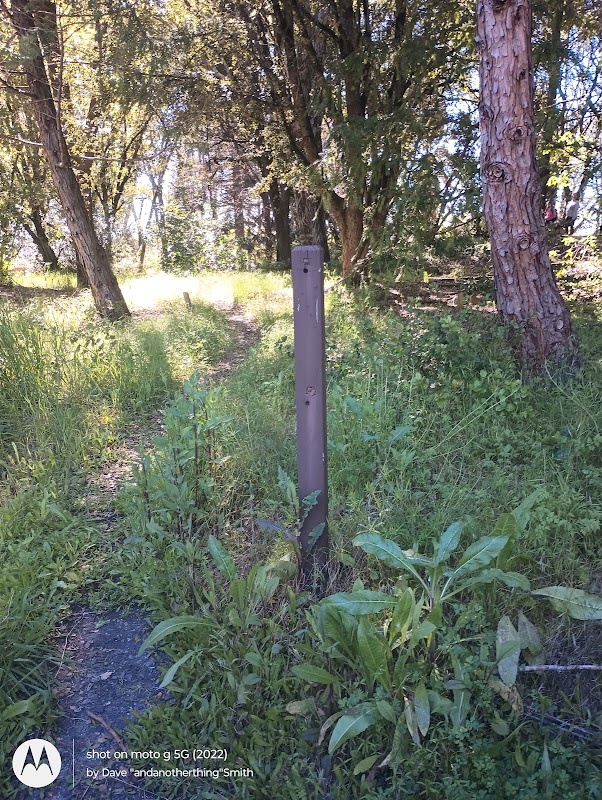 California Native Plant Garden