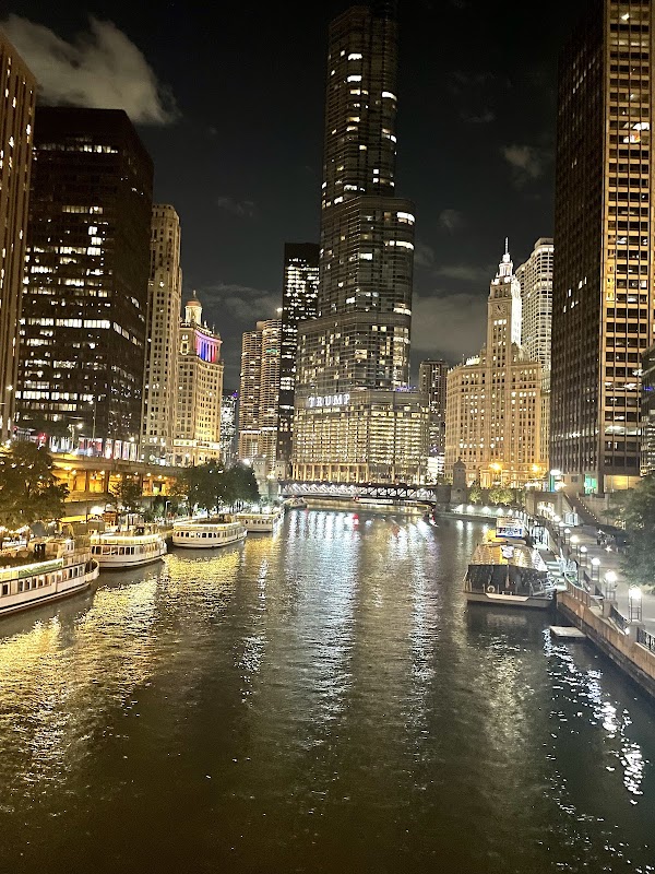 Chicago Rising from the Lake