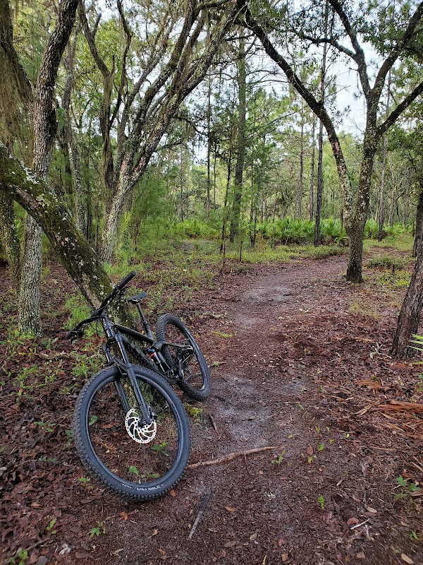MTB #29