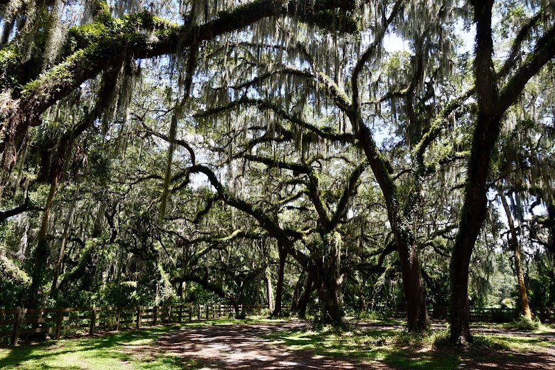 Sabal Point Preserve