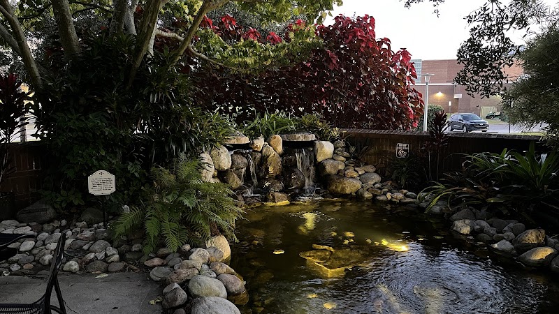 Burnett Honors College Garden