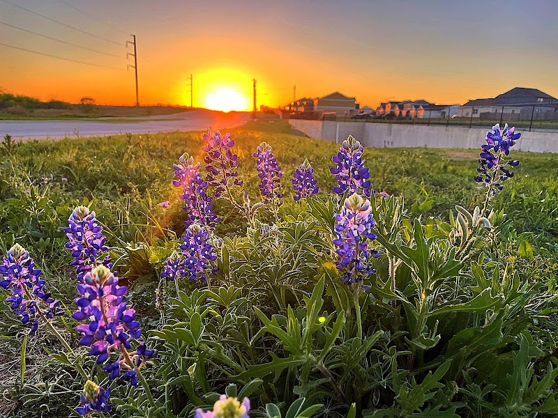 Fairview Heights Neighborhood Park