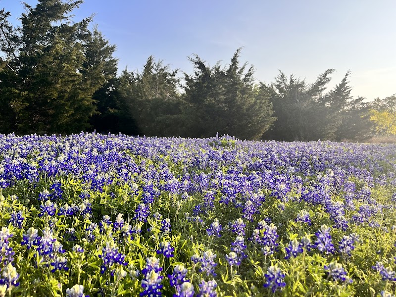 Harris Branch Neighborhood Park