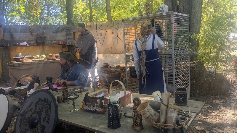 Washing Wenches Pet Raven