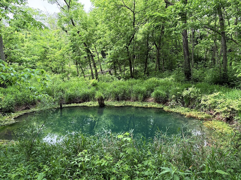 McConnell Springs Park