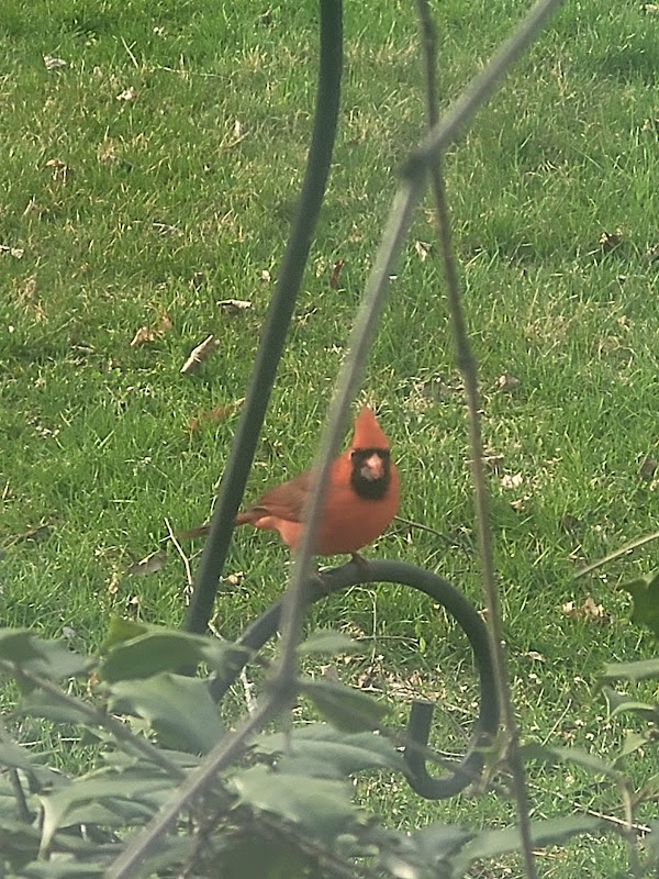 Muhlenberg Twp Parks & Rec