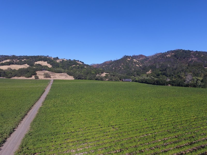 Hafner Vineyard