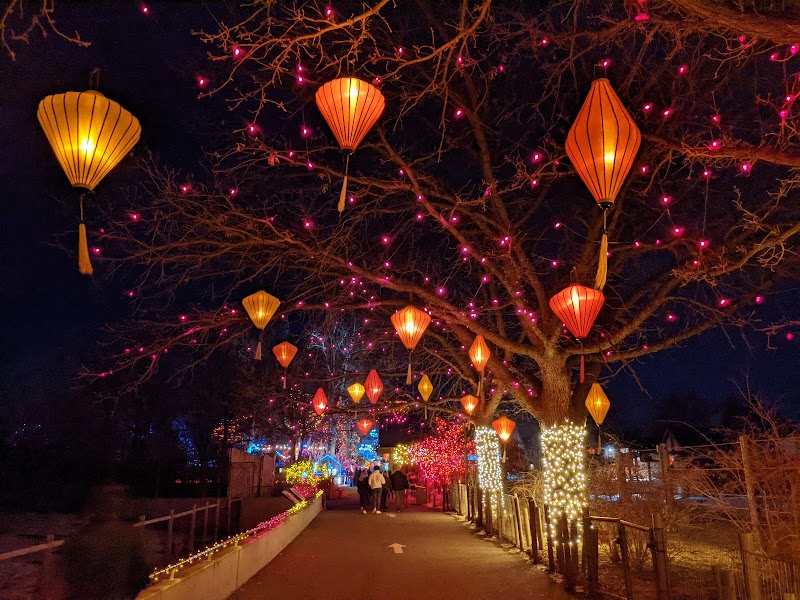 Denver Zoo Lights