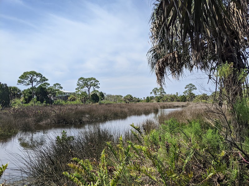 Werner-Boyce Salt Springs State Park