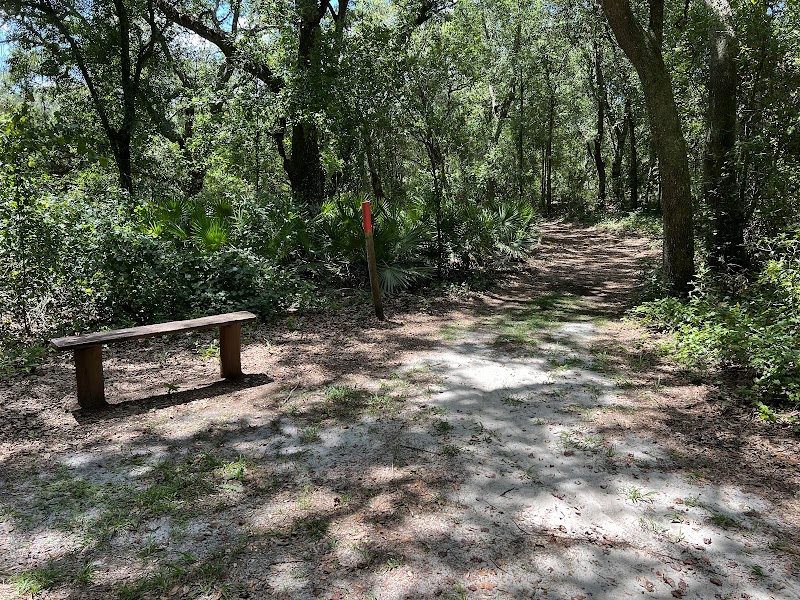 Withlacoochee River Park Large Playground