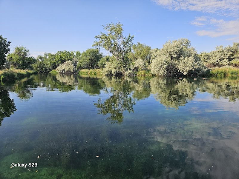 Wilson Springs Ponds