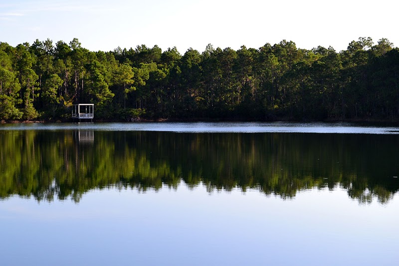 Pellicer Pond - Pellicer Creek Conservation Area