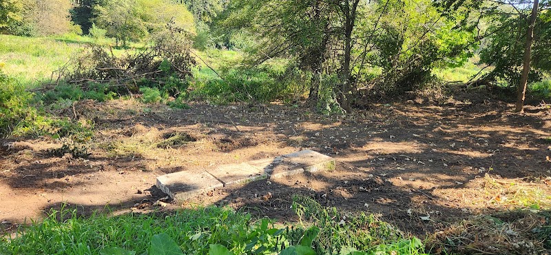 Southwoods Park Singletrack Trails