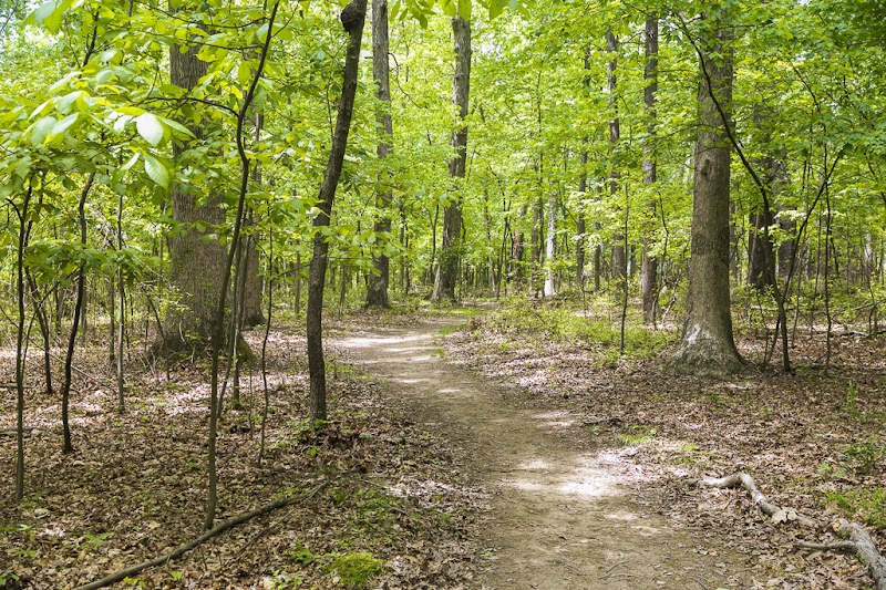 Peachwood Neighborhood Park