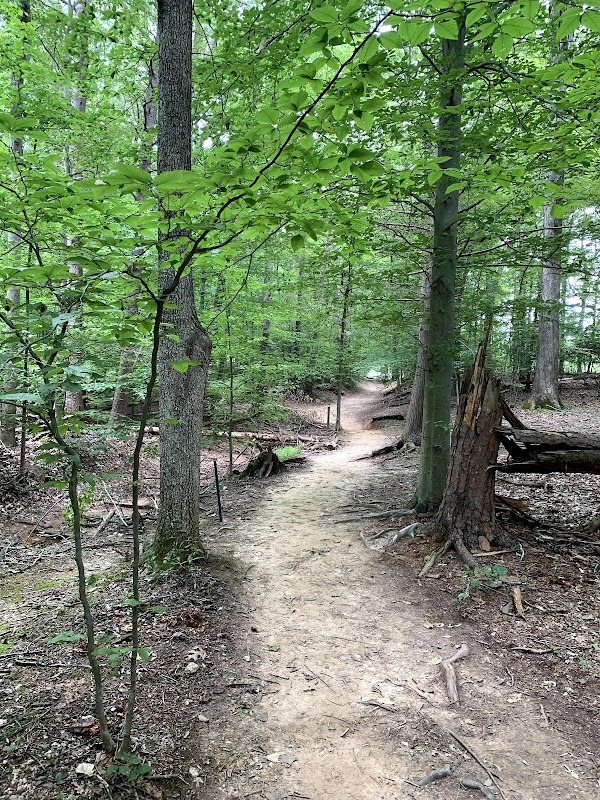 Hemlock Overlook Regional Park