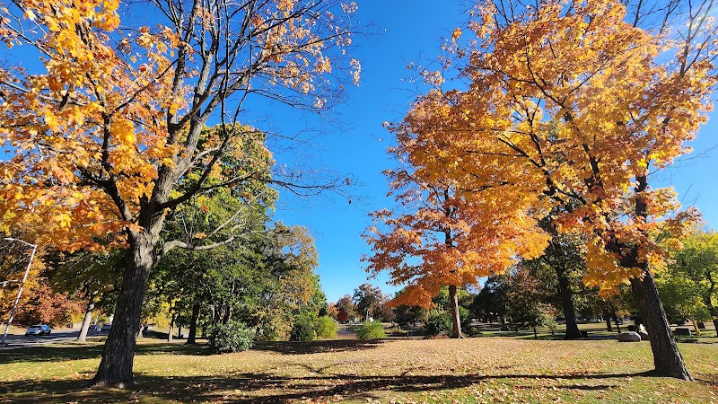 Eastern Woodland Homesite