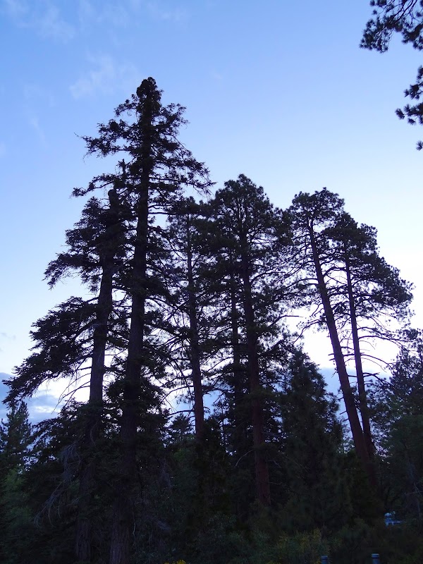Little Charlton Peak