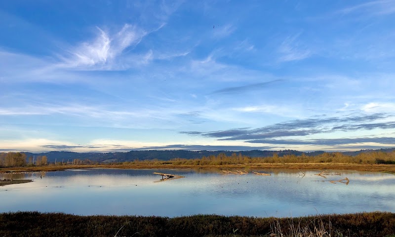 Pintail Marsh
