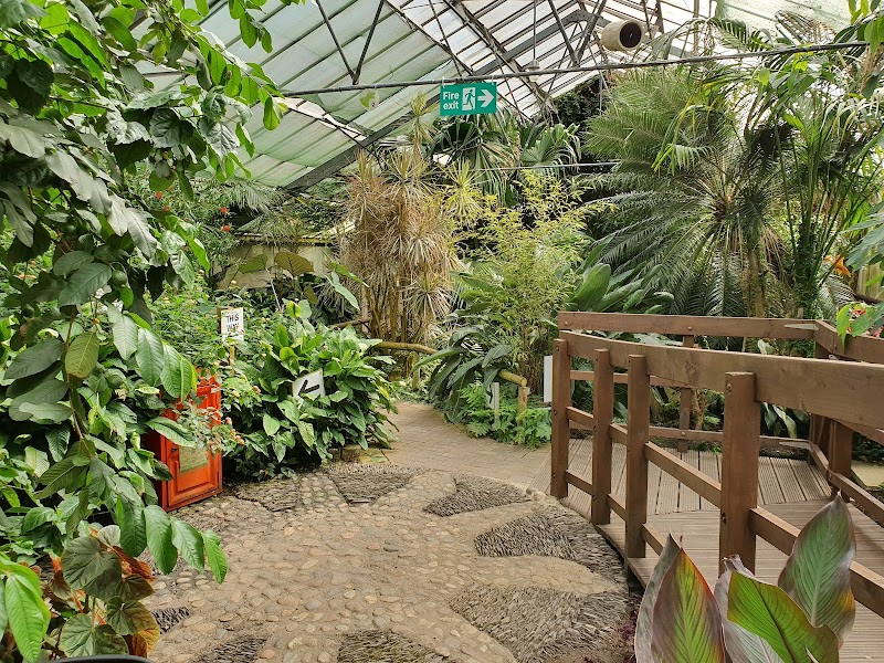 Manor Heath Jungle Experience