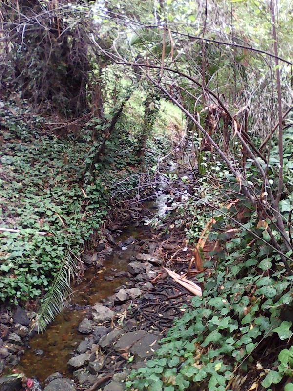 Courtland Creek Park