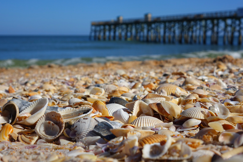 Palm Coast and the Flagler Beaches
